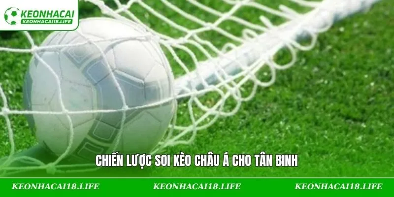 Chiến lược soi tỷ lệ châu Á hiệu quả cho thành viên