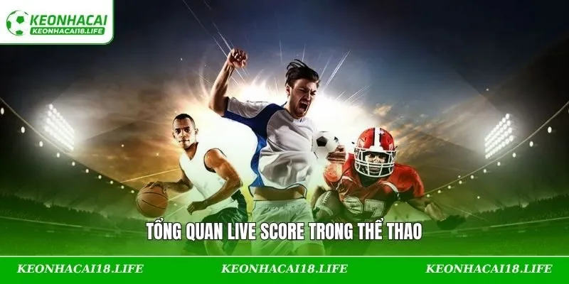 Tổng quan live score trong thể thao