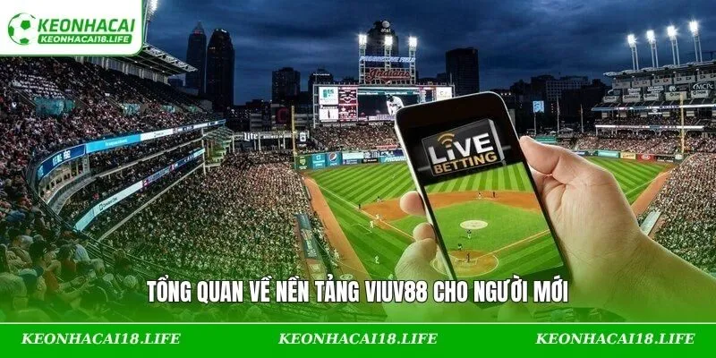 Tổng quan về nền tảng VIUV88 cho người mới