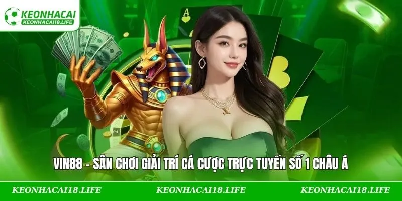 VIN88 – Sân Chơi Giải Trí Cá Cược Trực Tuyến Số 1 Châu Á